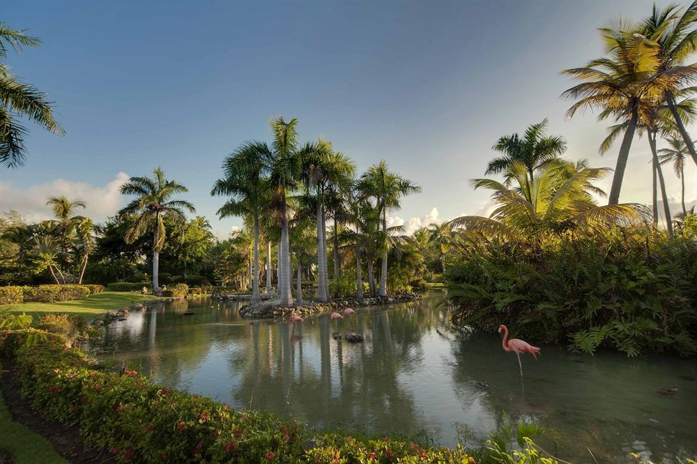 The Level At Melia Caribe Beach (Adults Only) Punta Cana Dış mekan fotoğraf