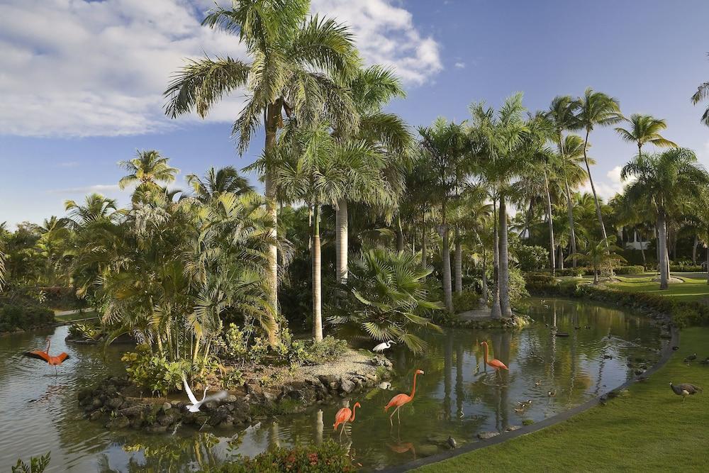 The Level At Melia Caribe Beach (Adults Only) Punta Cana Dış mekan fotoğraf